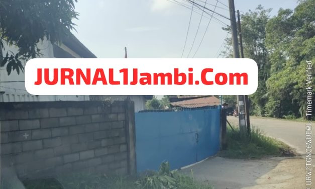 Oli KW Masuk Kota, Siapa yang Bermain di Balik Layar?