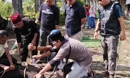 DPRD Kabupaten Muaro Jambi Laksanakan Kurban Hari Raya Idul Adha 1446 H dengan Semangat Berbagi