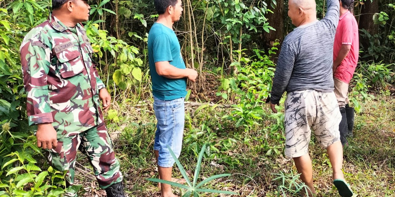 Cegah Karhutla, Babinsa Laksanakan Patroli