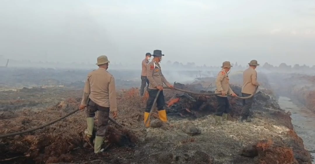 Kapolres Muaro Jambi Tinjau Karhutla di Gambut Jaya, Dorong Sinergi Penanggulangan