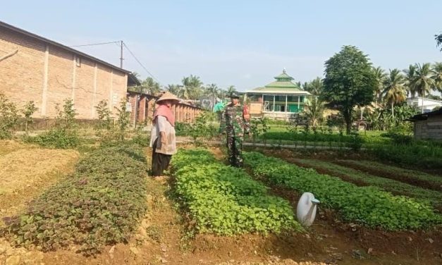 Bantu Petani, Wujud Nyata Dukungan Ketahanan Pangan di Wilayah
