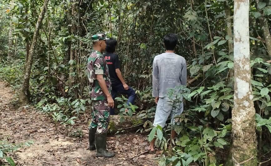 Cegah Karhutla, Babinsa Gencar Patroli di Wilayah Rawan Kebakaran