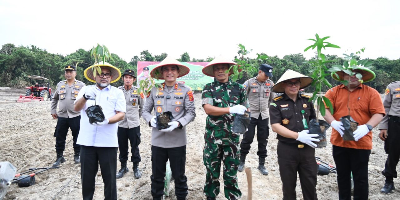Polda Jambi Tanam Jagung Serentak Dukung Ketahanan Pangan Nasional