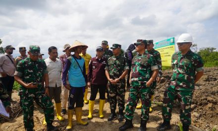 Danrem 042/Gapu tinjau lahan Opla di Tanjab Timur, dorong percepatan tanam serentak