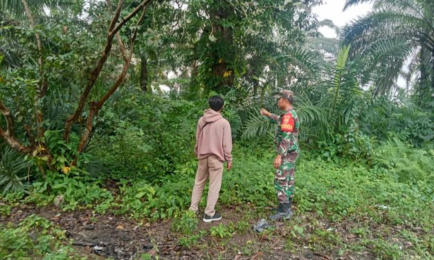 Menjaga Hutan, Menjaga Kehidupan: Babinsa Tak Pernah Lelah