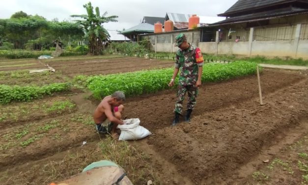 Bukan Sekadar Menjaga, Babinsa Kini Ikut Menanam Harapan