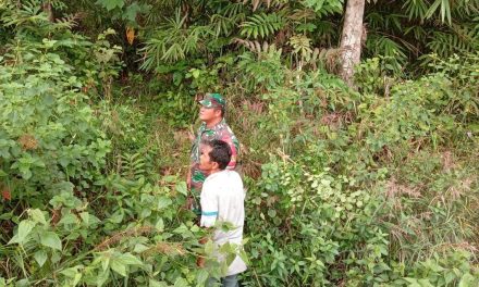 Jaga Hutan, Rangkul Warga: Babinsa Perkuat Barisan dari Akar Rumput