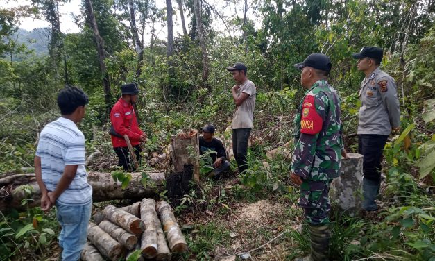 Babinsa di Garis Depan: Menjaga Hutan, Menyadarkan Bangsa