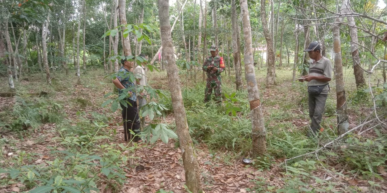 Cegah Karhutla, Babinsa Intensifkan Patroli dan Sosialisasi di Singkut