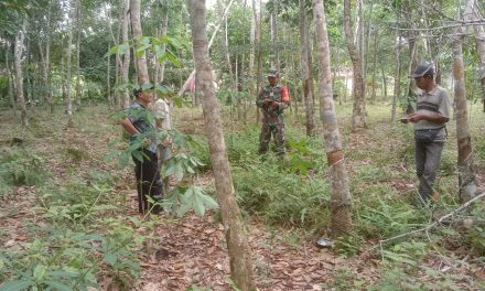 Cegah Karhutla, Babinsa Intensifkan Patroli dan Sosialisasi di Singkut