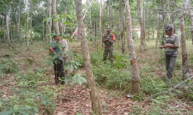 Cegah Karhutla, Babinsa Intensifkan Patroli dan Sosialisasi di Singkut