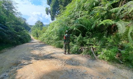Patroli Babinsa: Bentengi Hutan dari Api, Selamatkan Lingkungan