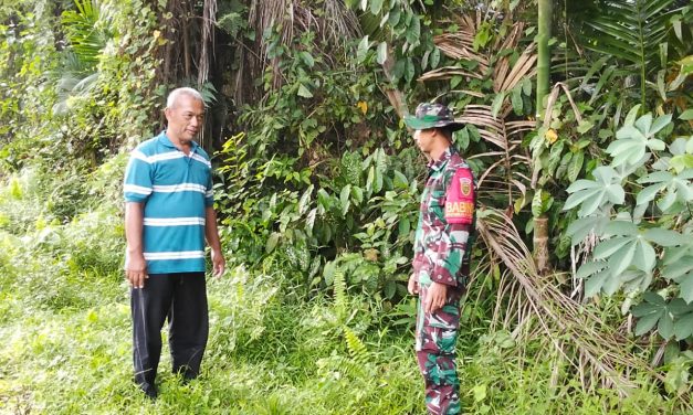 Babinsa dan Bhabinkamtibmas Bersama Warga Pastikan Kesiapan Lahan Jagung di Sarolangun