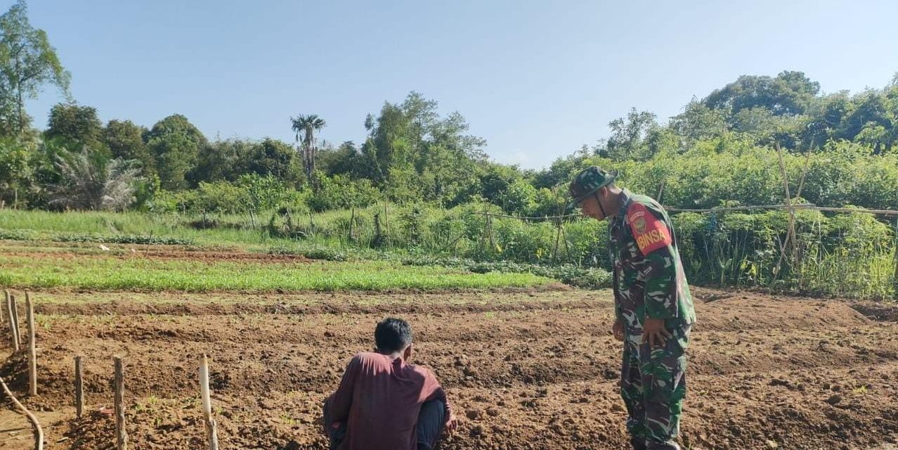 Babinsa Aktif Bantu Petani Bersihkan Gulma, Dukung Ketahanan Pangan