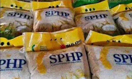Penyaluran Beras SPHP Dinilai Bermasalah, LPKNI Desak Pemerintah Perketat Pengawasan