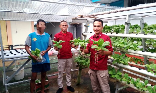 Rutan Ambon Wujudkan Ketahanan Pangan Lewat Panen Hidroponik