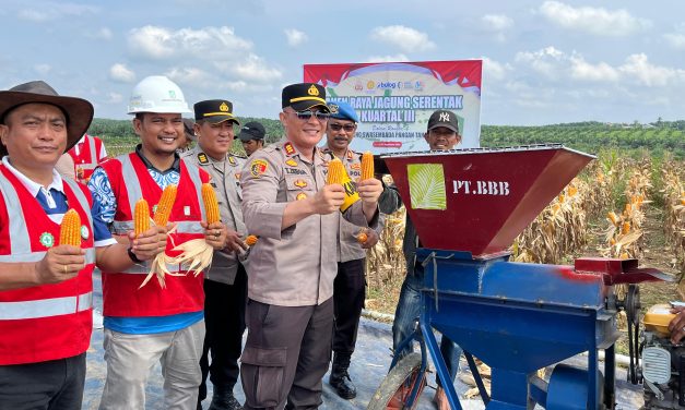 Kapolsek Sekernan Hadiri Panen Raya Jagung Serentak Kuartal III Tahun 2025 di PT Brahma