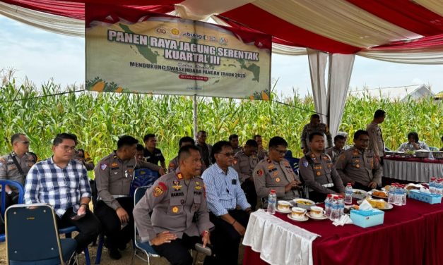 Waka Polres Muaro Jambi Ikuti Zoom Meeting Panen Raya Jagung Kuartal III di Desa Sebapo