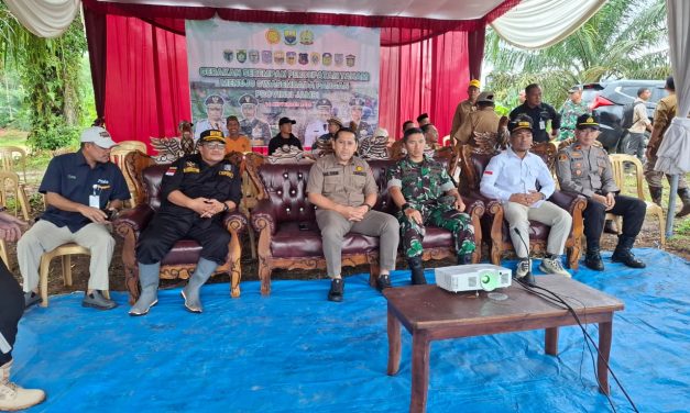 Dandim 0420/Sarko dan Bupati Merangin Pimpin Penanaman Padi Serentak di Dua Kabupaten