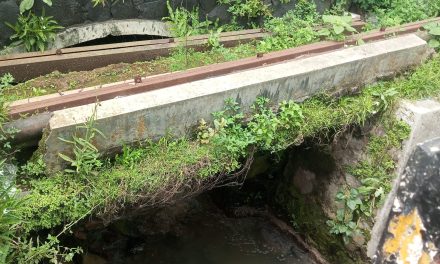 Ketum Simpe Nasional: Bangunan di Atas Drainase Wajib Dibongkar, Ini Pelanggaran Hukum