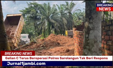 Izin Tak Ada, Aktivitas Jalan Terus: Siapa Lindungi Galian C Ilegal?