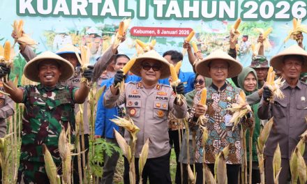 Polres Kebumen Gelar Panen Raya Jagung di Tanggulangin Klirong