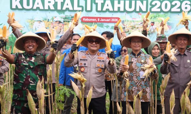 Polres Kebumen Gelar Panen Raya Jagung di Tanggulangin Klirong
