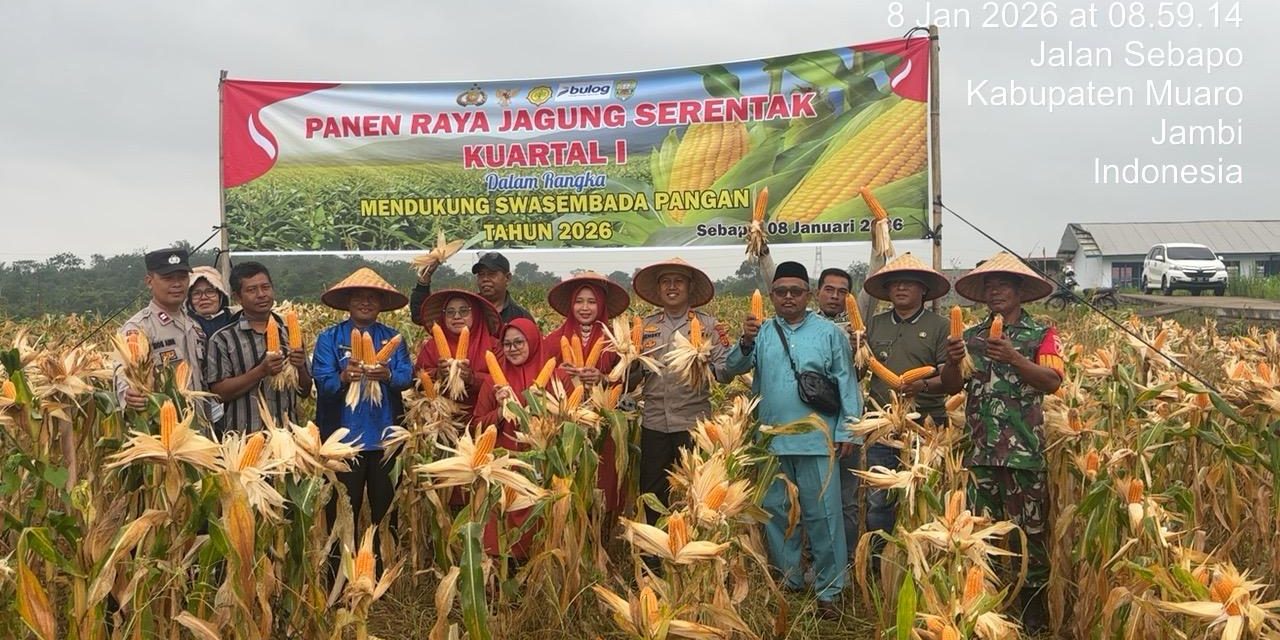 Panen Raya Jagung Kuartal I Tegaskan Sinergi Polri Dorong Swasembada Pangan 2026