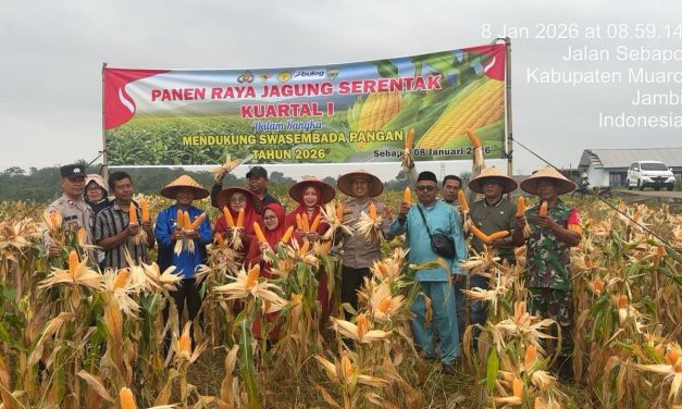 Panen Raya Jagung Kuartal I Tegaskan Sinergi Polri Dorong Swasembada Pangan 2026