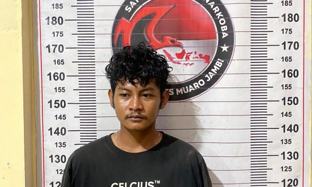 Satresnarkoba Polres Muaro Jambi Ungkap Peredaran Ganja 1,4 Kilogram di Sungai Bahar