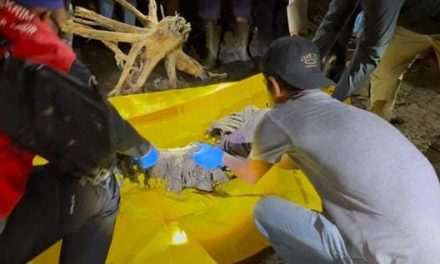 Penemuan Kerangka Manusia Di Pesisir Sadu Gegerkan Warga, Identitas Masih Misterius