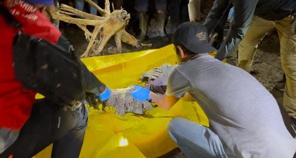 Penemuan Kerangka Manusia Di Pesisir Sadu Gegerkan Warga, Identitas Masih Misterius