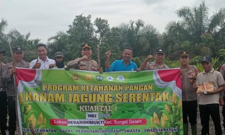 Polsek Sungai Gelam Tanam Jagung Bhayangkara Dukung Ketahanan Pangan Nasional