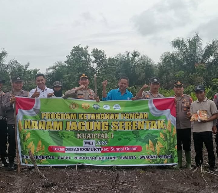 Polsek Sungai Gelam Tanam Jagung Bhayangkara Dukung Ketahanan Pangan Nasional