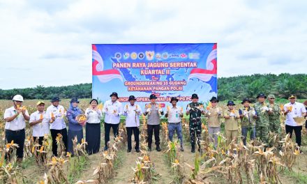 Sekda Muaro Jambi Hadiri Panen Raya Jagung Serentak Kuartal II Tahun 2026