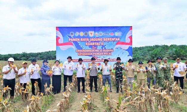 Sekda Muaro Jambi Hadiri Panen Raya Jagung Serentak Kuartal II Tahun 2026
