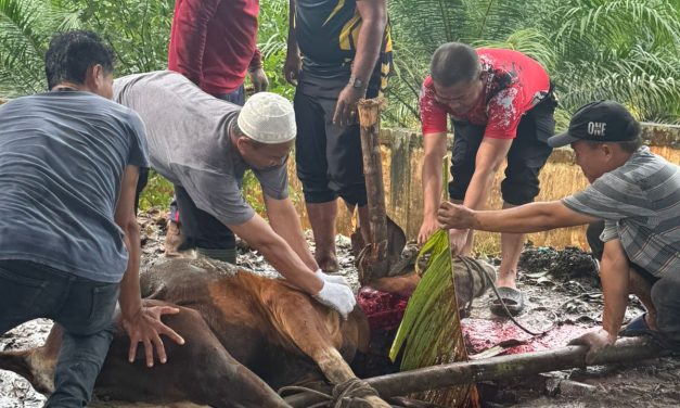 Polres Muaro Jambi Sembelih Enam Ekor Sapi Kurban, Wujud Kepedulian Dan Berbagi Di Hari Raya Idul Adha