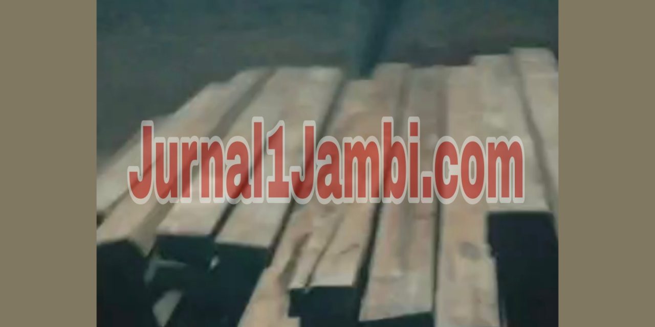 Temuan Bangsal Kayu Di Mayang, Diduga Simpan Kayu Bulian Ilegal