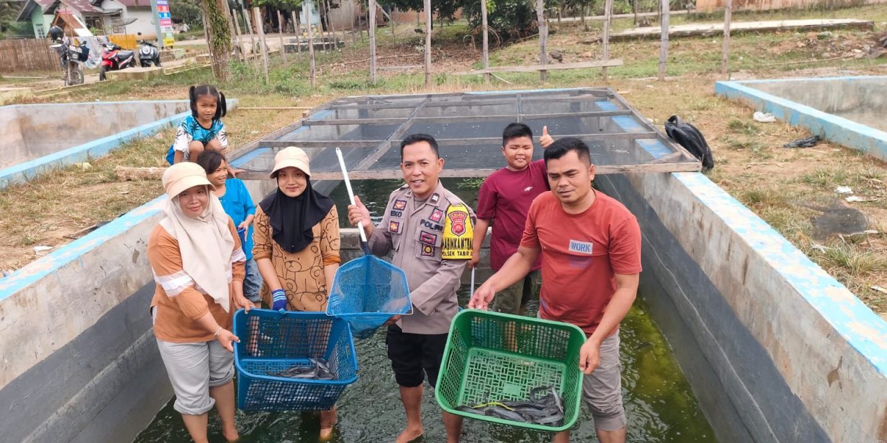 Polisi Hadir Membawa Solusi, Lahan Eks Tambang Disulap Jadi Sumber Ekonomi Baru Di Merangin