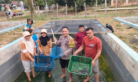Polisi Hadir Membawa Solusi, Lahan Eks Tambang Disulap Jadi Sumber Ekonomi Baru Di Merangin