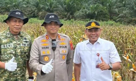 Kapolres Muaro Jambi Hadiri Panen Raya Jagung, Perkuat Ketahanan Pangan Nasional