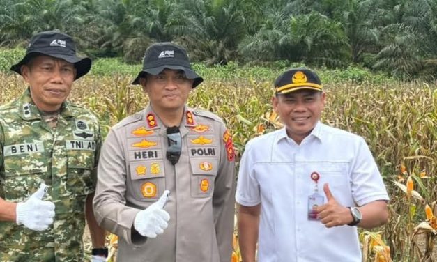 Kapolres Muaro Jambi Hadiri Panen Raya Jagung, Perkuat Ketahanan Pangan Nasional