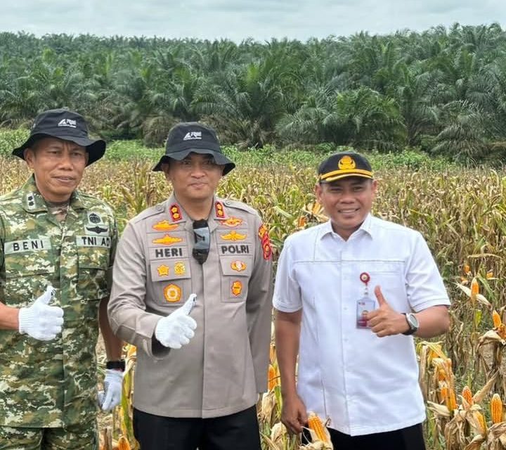 Kapolres Muaro Jambi Hadiri Panen Raya Jagung, Perkuat Ketahanan Pangan Nasional