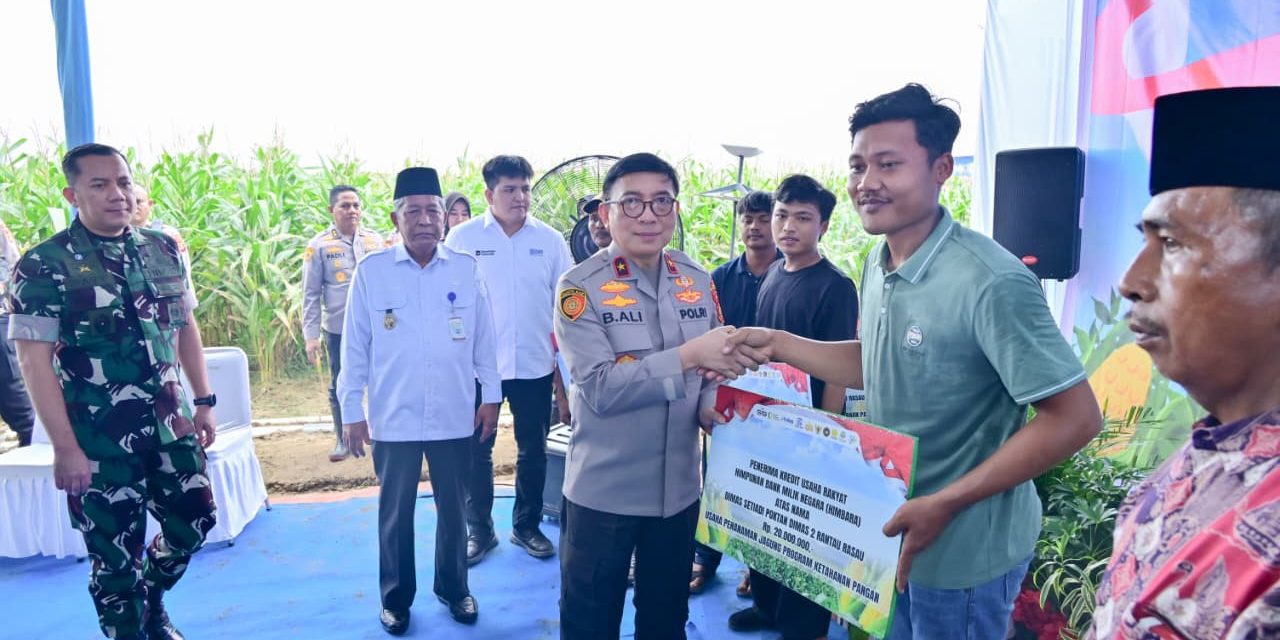 Polda Jambi Gelar Panen Raya Jagung, Perkuat Ketahanan Pangan Nasional