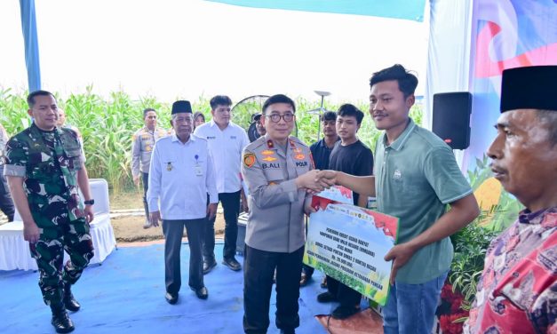 Polda Jambi Gelar Panen Raya Jagung, Perkuat Ketahanan Pangan Nasional