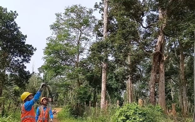 Warga Resah, Pencurian Kabel PLN Kembali Terjadi Di Muaro Jambi