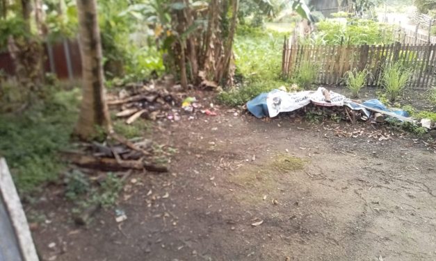 Warga Senaung Resah, Pencurian Tiang Kayu Bulian Kembali Terjadi
