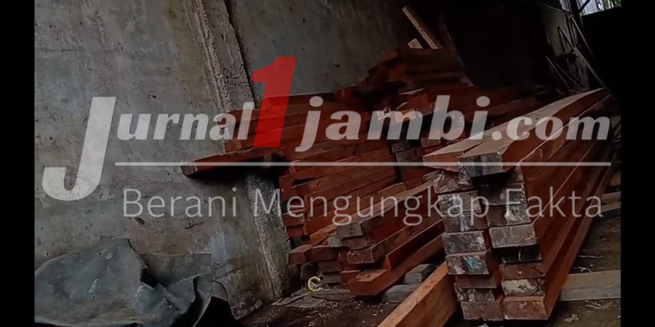 Dugaan Pengolahan Kayu Bulian Di Jambi Jadi Sorotan, Pemilik Beri Klarifikasi