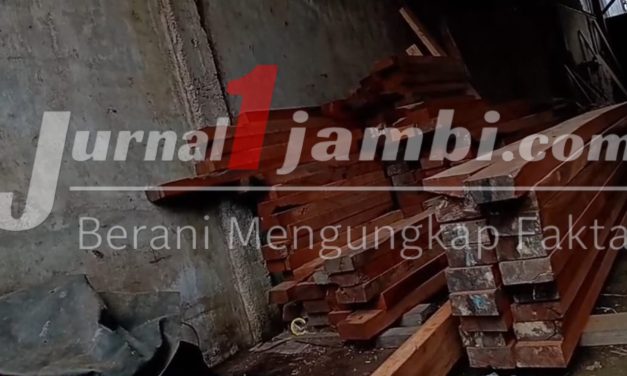 Dugaan Pengolahan Kayu Bulian Di Jambi Jadi Sorotan, Pemilik Beri Klarifikasi