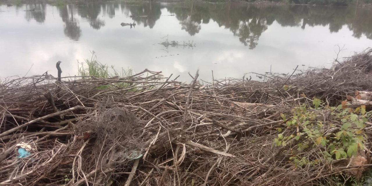 Cetak Sawah Rakyat Di Batang Hari Disorot, Lahan Belum Ditanami Dan Kerap Terendam Banjir